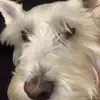 jaywhitmore1970 - @jaywhitmore1970 - TikTok