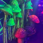 Jay wilcox - @_.pandoras.box._ - Instagram