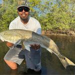 Jay Wilcox - @wolfmanjay_ - Instagram