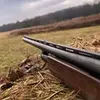 jaycewilcox_77 - @jaycewilcox_77_ - TikTok
