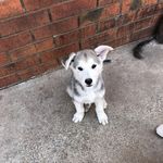 Jayme Willingham - @jayme.willingham - Instagram