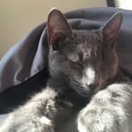 Jaywills Gaming - @jaywills18 - Instagram