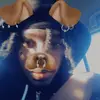 Jay wolf - @marquis_wolf - TikTok