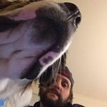 Jay Worrell - @jaybone406 - Instagram