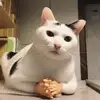 j.s - @jay.yeager19 - TikTok