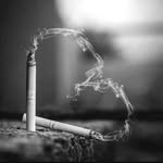 Jayanta Dutta - @local___2_ka___jay - Instagram