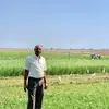 Jayantibhai Patel - @jayantibhaipatel645 - TikTok