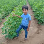 Jayashree Patel - @jayashree.patel.1000 - Instagram
