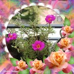 Jayati Mitra - Facebook