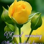 jm - @jayati.mitra - Instagram