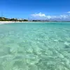 Jayce Brown - @jayce.brown36 - TikTok