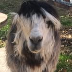 Jayce Klein - @jayce_klein816 - Instagram