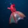 Jayce Klein - @paxton_warren019157 - TikTok