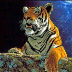 jayce - @jayce_wilson_22 - Instagram