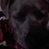 Jayce Wilson - @jayce.wilson2 - TikTok