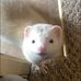 Jaycee Daniels - Facebook