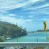 Jayda Williams - @jayda.williams62 - TikTok