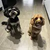 Jayde Anderson - @jayde.anderson - TikTok