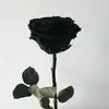 moorejayde74 - @moorejayde74 - TikTok