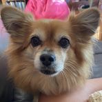 Jayden Bennett - Facebook