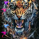 Jayden Carson - Facebook