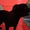 Jayden Castillo - @jayden.castillo0 - TikTok