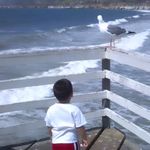 Jayden Castro - @jaydencastro.97 - Instagram