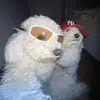 Jayden_collier - @jayden_collier1 - TikTok