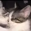 Jayden - @jayden._.dillon - TikTok