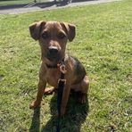 Jaiden Donaldson - Facebook
