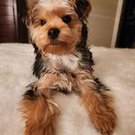 Jayden Donaldson - Facebook