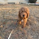 Jayden Duran - Facebook