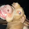 Jayden Elliott - @jayden.elliott0 - TikTok