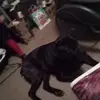 user8291151754758 - @jaydenelliott129 - TikTok