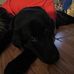 Jayden Fields - Facebook