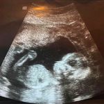 jayden foley - @jaydenfoley_ - Instagram