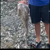 Jayden Franklin7 - @jayden.franklin7 - TikTok