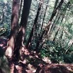 Jayden Garrison - @jayden.garrison - Instagram