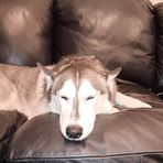 Jayden Gregory - Facebook
