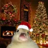 Christmas duck - @jayden.hampton0 - TikTok