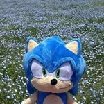 Jayden Hansen - @pigeon_suit - Instagram