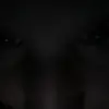 jaydenhartman67 - @jaydenhartman67 - TikTok