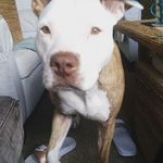 Jayden Keller - @jayden.keller.92372 - Instagram