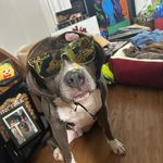 Jayden knight bridges - @jaydenknightbridges - Instagram