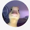 user6097866596311 - @libertyjayden - TikTok