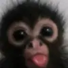 jayden - @jayden_lucas5 - TikTok
