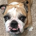 Jayden Merrill - @jayden_merrill2004 - Instagram