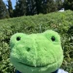 Jayden_Min - @jayden_min1 - Instagram