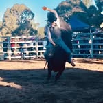 Jayden Miners - @jayden.miners - Instagram