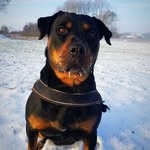 jaydenakabeuk - @jaydenminartz - Instagram